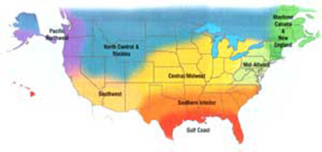 Timely Gardening Tips for Where You Live Image
